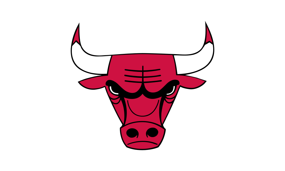 logo Bulls